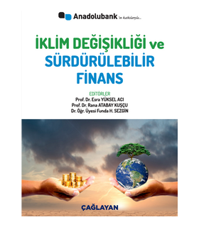 Sürdürülebilir Finansın Gelişiminde Sermaye Piyasası Araç ve Kurumlarının Rolü