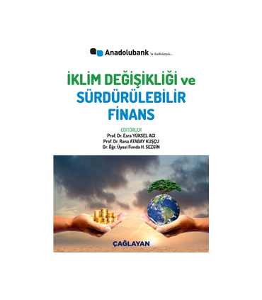 Sürdürülebilir Finansın Gelişiminde Sermaye Piyasası Araç ve Kurumlarının Rolü